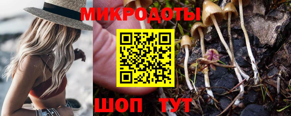 Псилоцибиновые грибы ЛСД  Галлюциногенные грибы Magic Shrooms  наркотики  Астрахань  Вход с VPN 