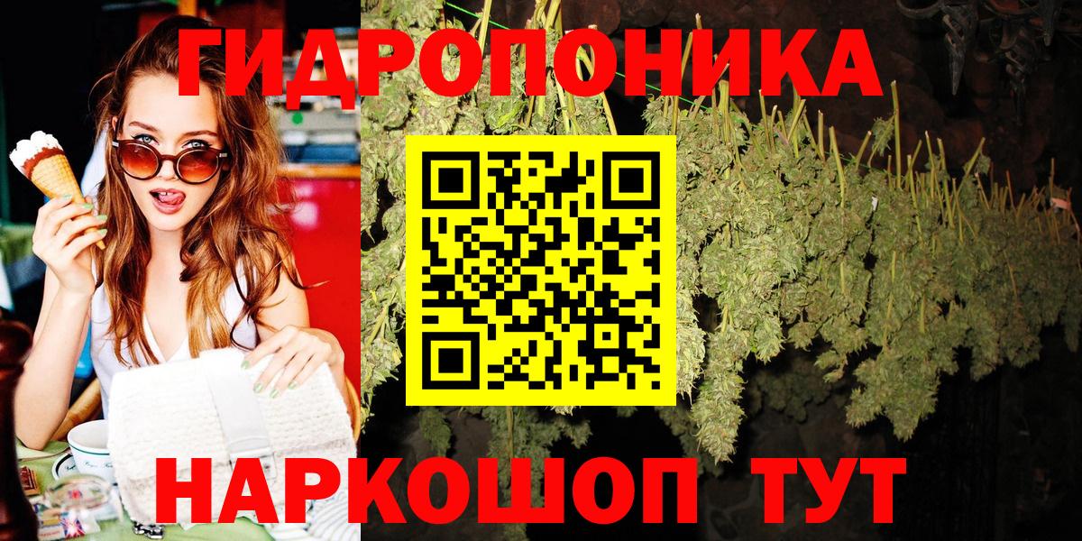 Канабис семена Астрахань